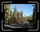 DSC02801 * 2592 x 1944 * (2.43MB)