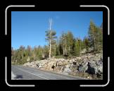 DSC02809 * 2592 x 1944 * (2.43MB)