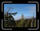 DSC02817 * 2592 x 1944 * (2.23MB)