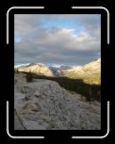 DSC02937 * 1944 x 2592 * (1.82MB)