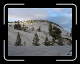DSC02939 * 2592 x 1944 * (2.41MB)