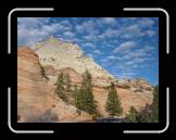 DSC03445 * 2592 x 1944 * (2.15MB)